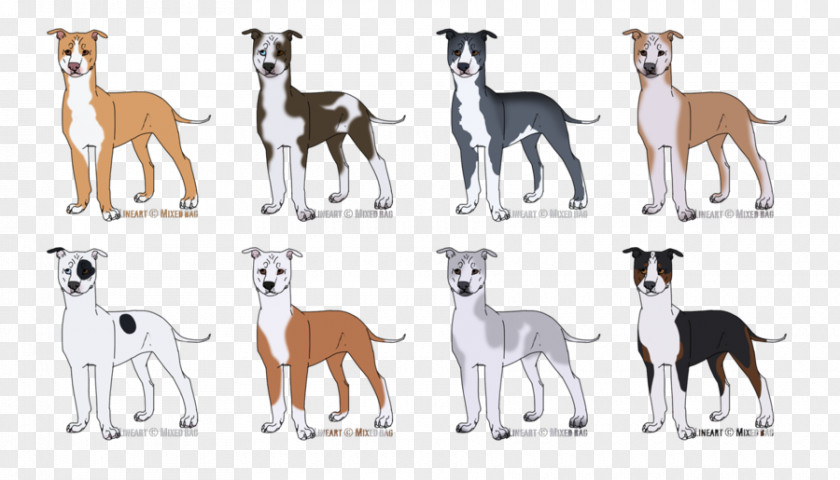 Whippet Italian Greyhound Spanish Dog Breed PNG