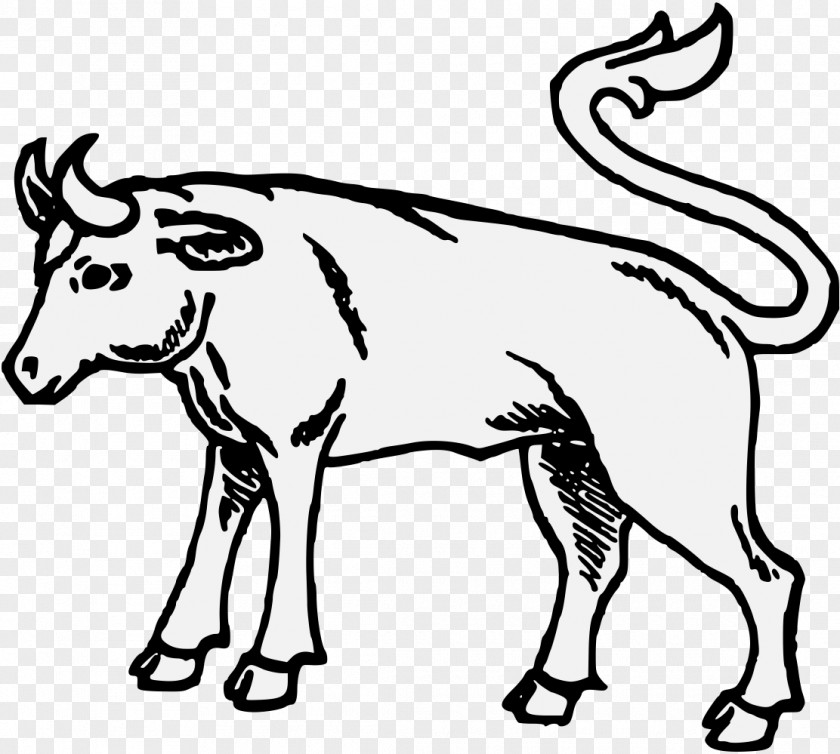 Bull Cattle Horn Ox Bovinae PNG