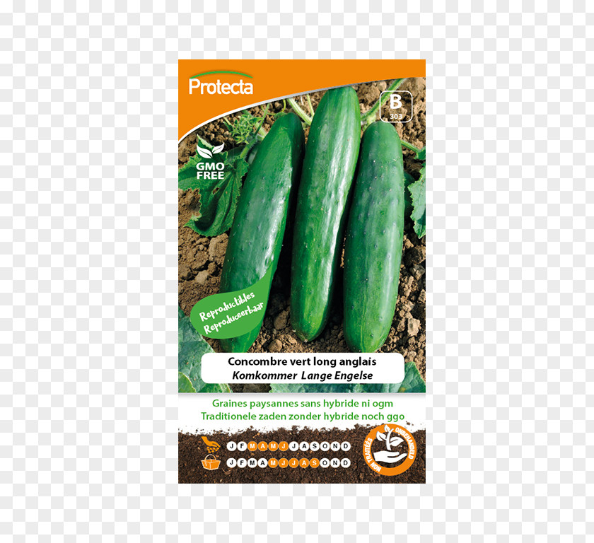 Cucumber Seed Saving Vegetable Benih PNG