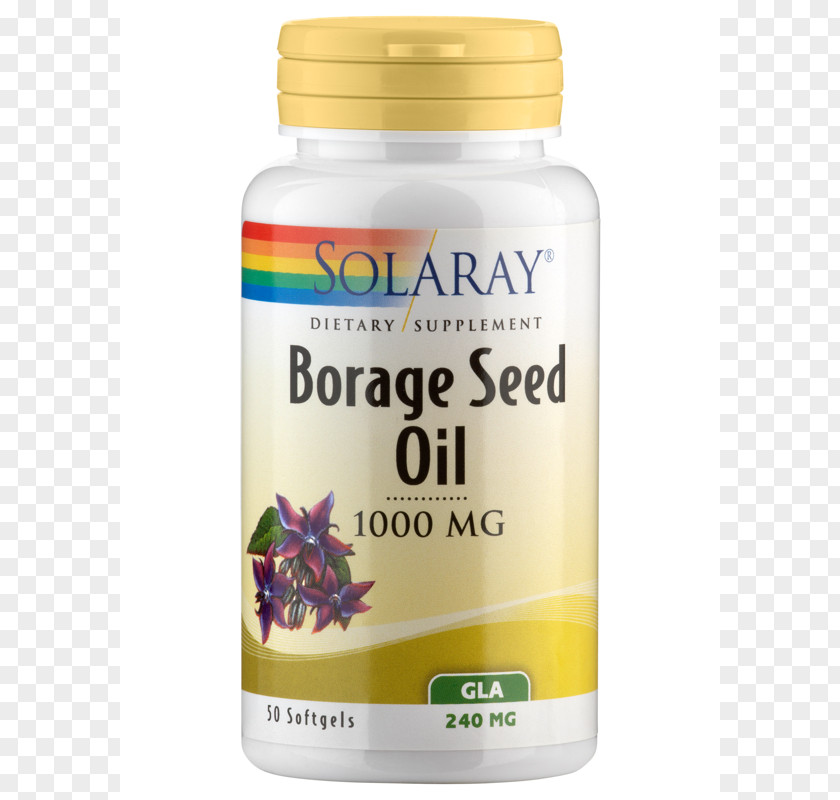 Oil Borage Seed PNG
