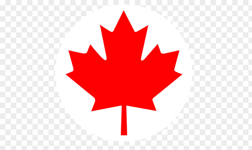 Red Maple Leaves Flag Of Canada Leaf Day PNG