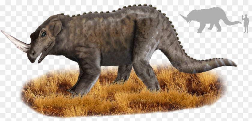 Dinosaurs Congo Emela-ntouka Rhinoceros Mokele-mbembe Elephant PNG