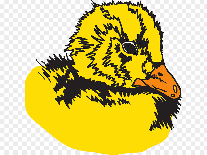 Duck Download Clip Art PNG