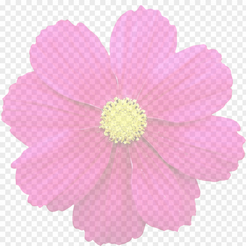 Lavender Flower Clip Art PNG