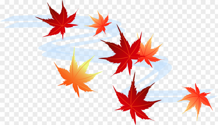 Maple Leaf Autumn Color Season Gratis PNG