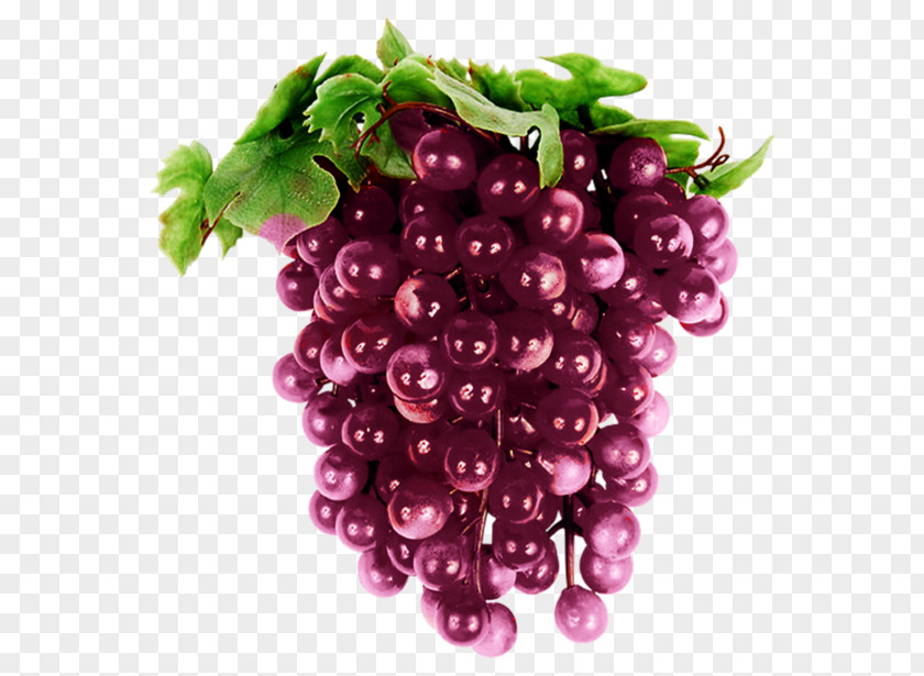 Raisin Red Wine Common Grape Vine Seedless Fruit PNG