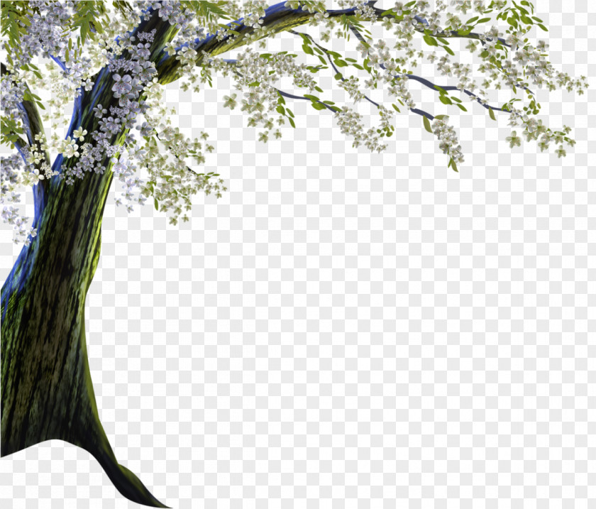 Tree Landscape Photography Clip Art PNG