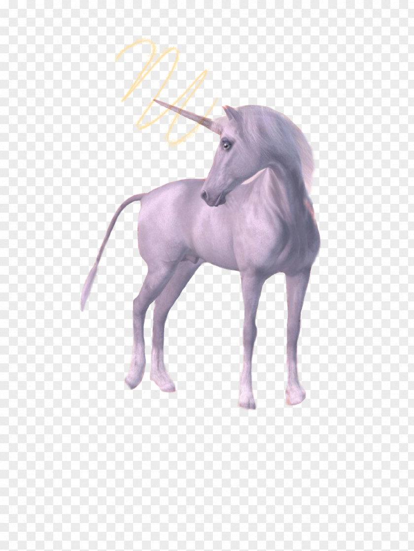 Unicorn Clip Art Drawing Image PNG