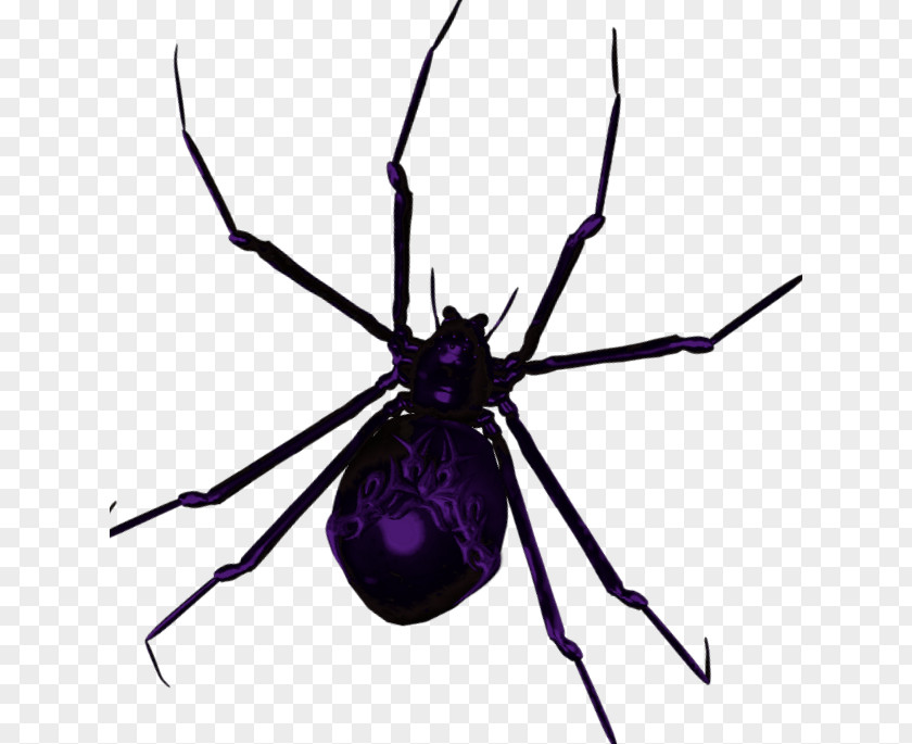 Widow Spiders STX G.1800E.J.M.V.U.NR YN Angie Clip Art PNG