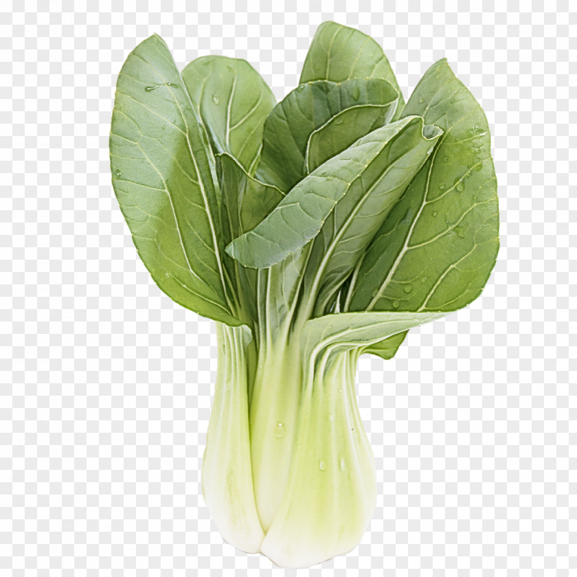 Wild Cabbage Spinach Vegetable Leaf Choy Sum Food PNG