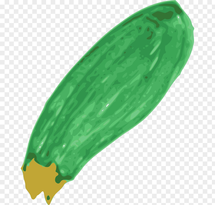 Zucchini Cliparts Clip Art PNG