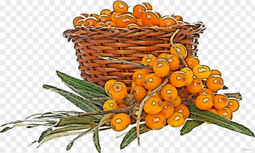 Hippophae Plant Tangerine Fruit Flower PNG
