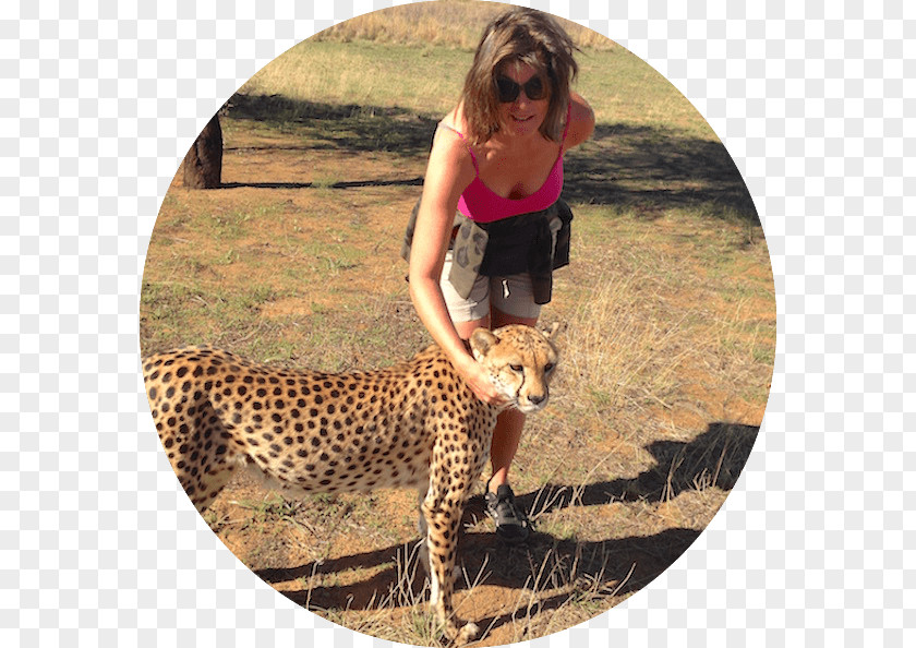 Zen Traveller: A Quick Guide Influencer Fast Track: From Zero To In The Next 6 Months! 10X Your Marketing And Branding For Coaches, Consultants, Professionals Entrepreneurs BookCheetah Cheetah Bali PNG