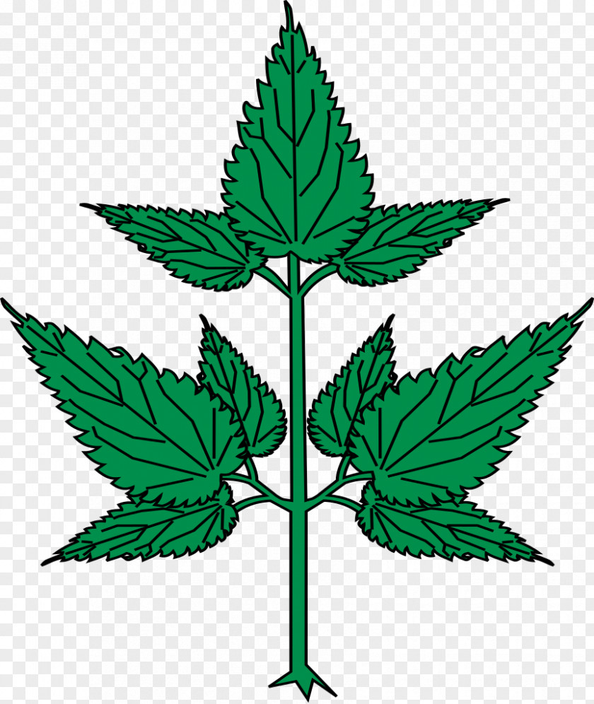 Cannabis Leaf Plant Stem Line Clip Art PNG