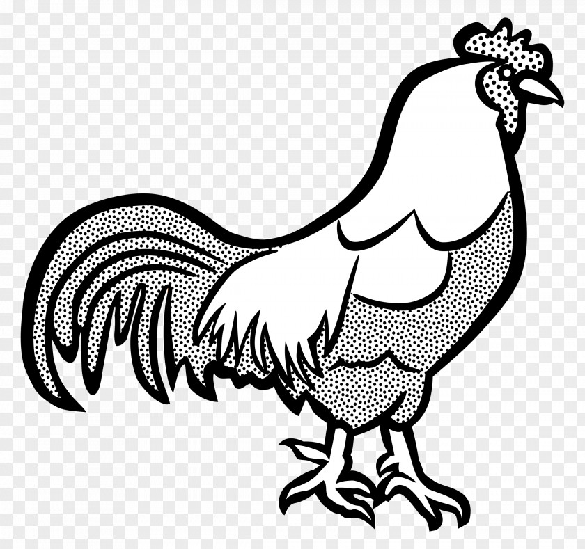Cock Wyandotte Chicken Cochin Dorking Rooster PNG