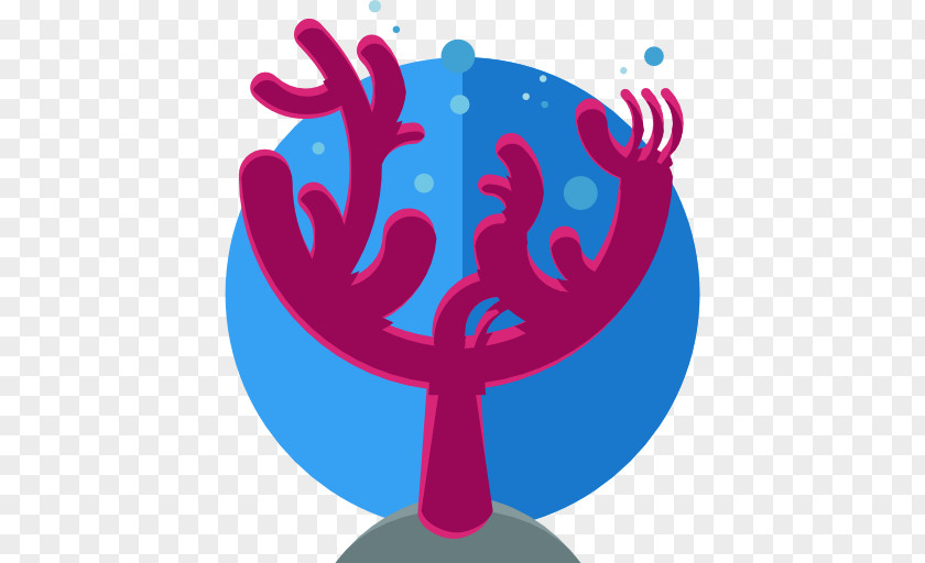 Coral PNG