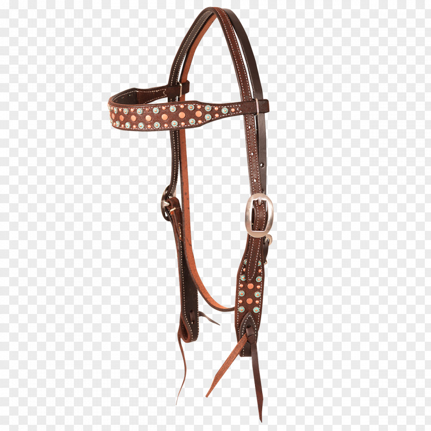 Horse Tack Bridle Tom Balding Bits & Spurs Cart PNG