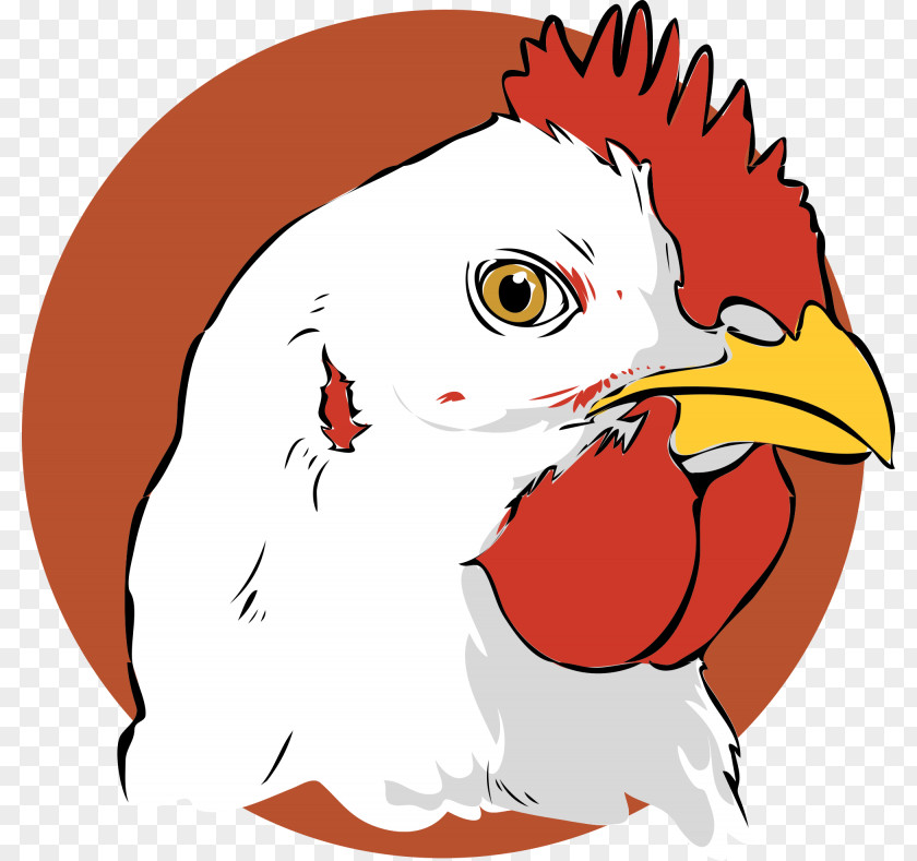 Broiler Chicken Derbyshire Redcap Clip Art Landfowl Rooster PNG