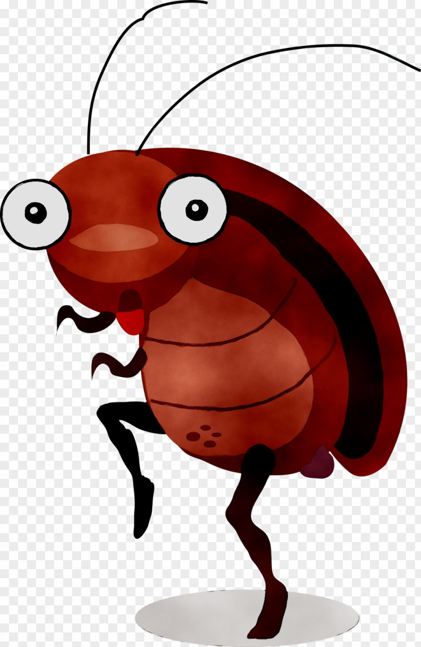 Cockroach Cartoon Vector Graphics Royalty-free Illustration PNG