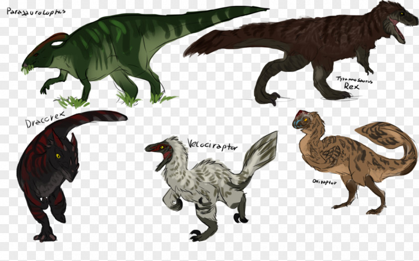 Dinosaur Velociraptor Tyrannosaurus Oviraptor Mosasaurus Yutyrannus PNG