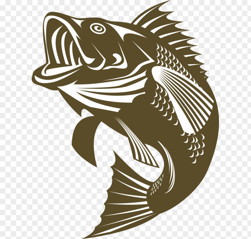 Fishing Largemouth Bass PNG