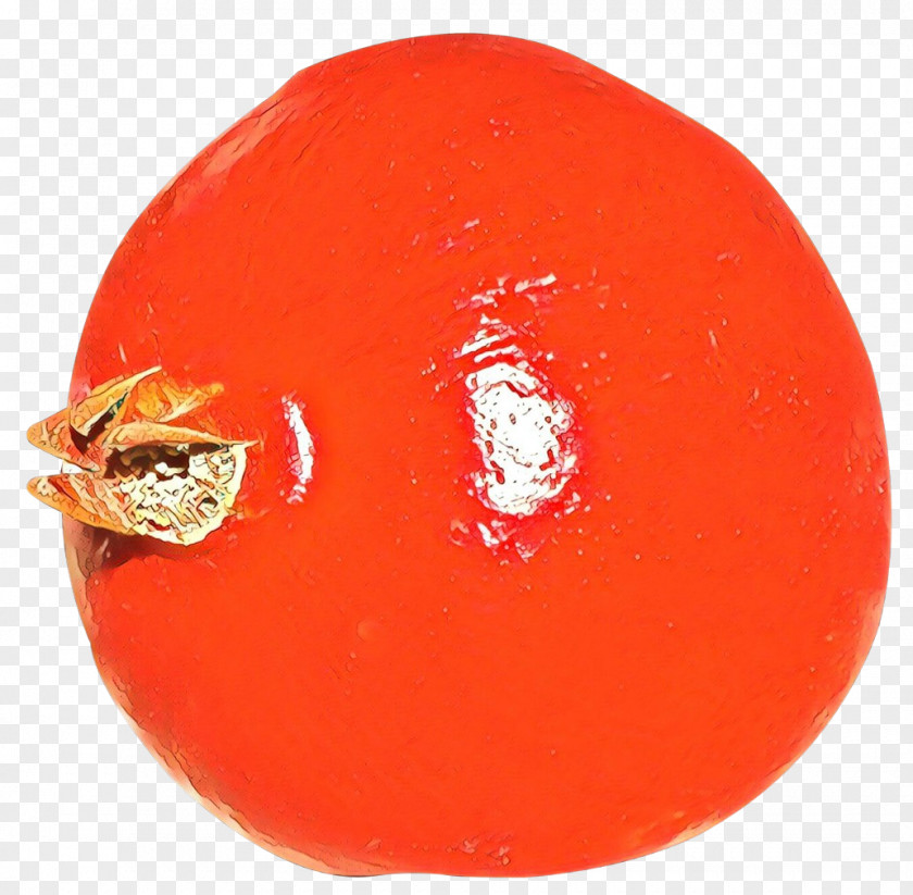 Fruit Orange Tomato Cartoon PNG
