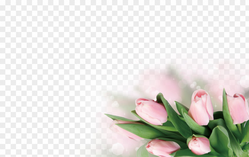 Tulip Decoration Piano Poster Flower PNG