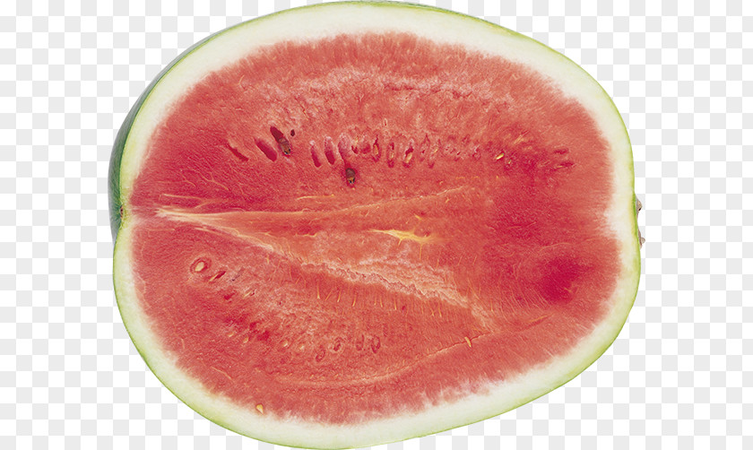 Watermelon Seedless Fruit DepositFiles IFolder Archive File PNG
