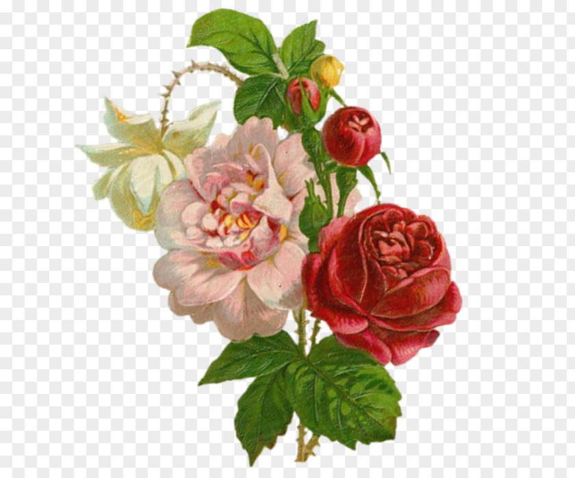 Painting Garden Roses Art Clip PNG