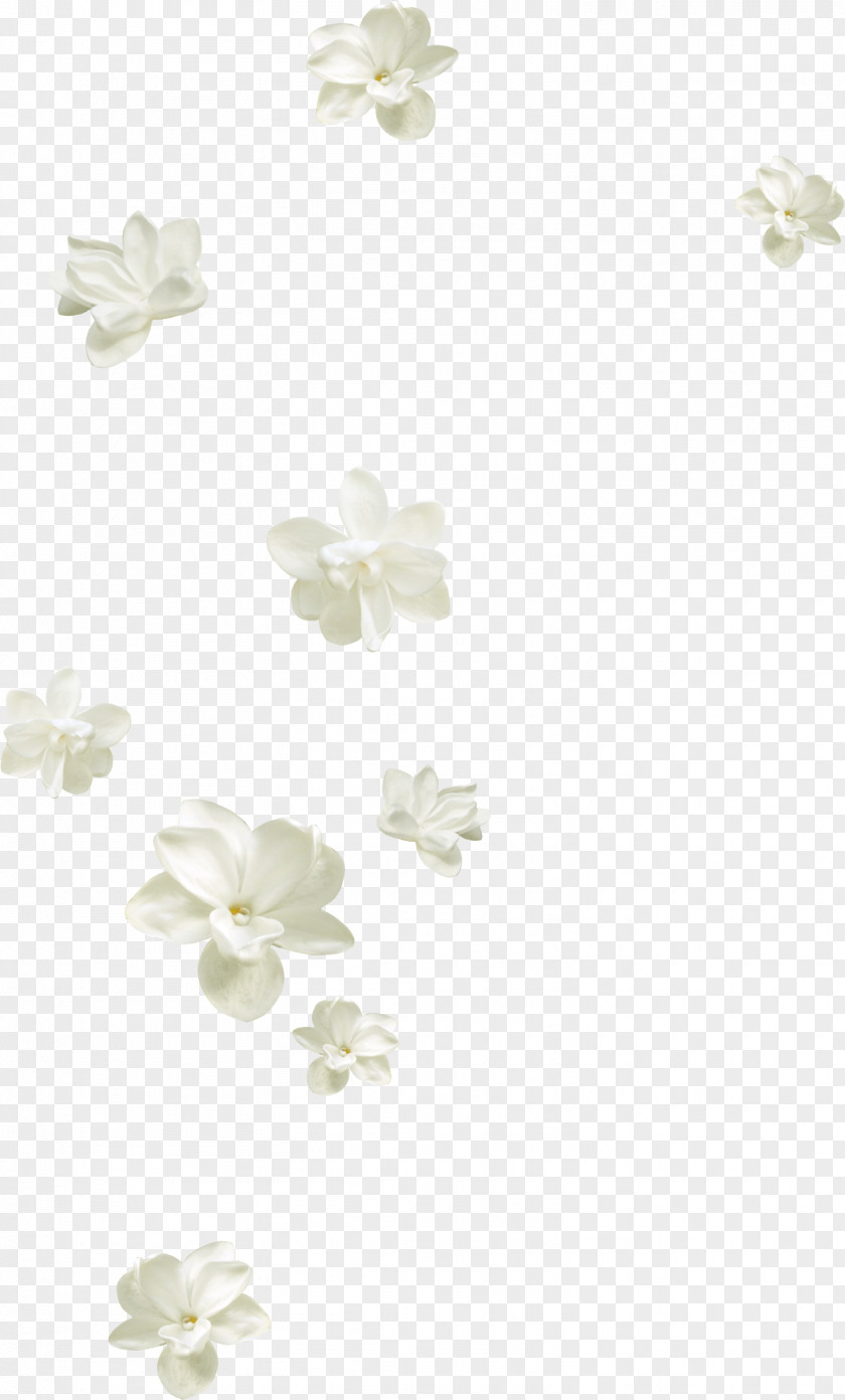 Pretty White Flowers Floating Flower Petal PNG