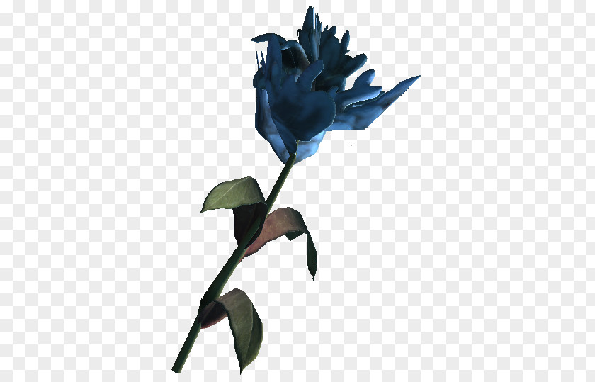 Blue Mountain Flower The Elder Scrolls V: Skyrim Garden Roses Rose Online PNG