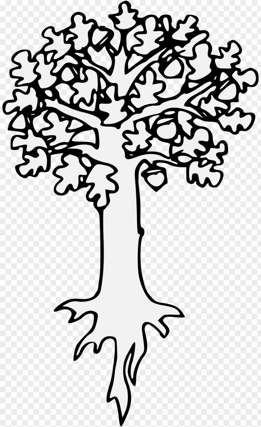 Tree Oak Branch Leaf Art PNG