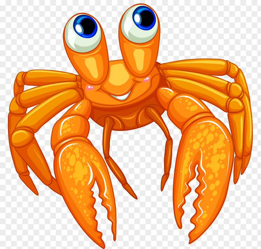 Hermit Crab Illustration PNG crab Illustration, crabs, illustration clipart PNG
