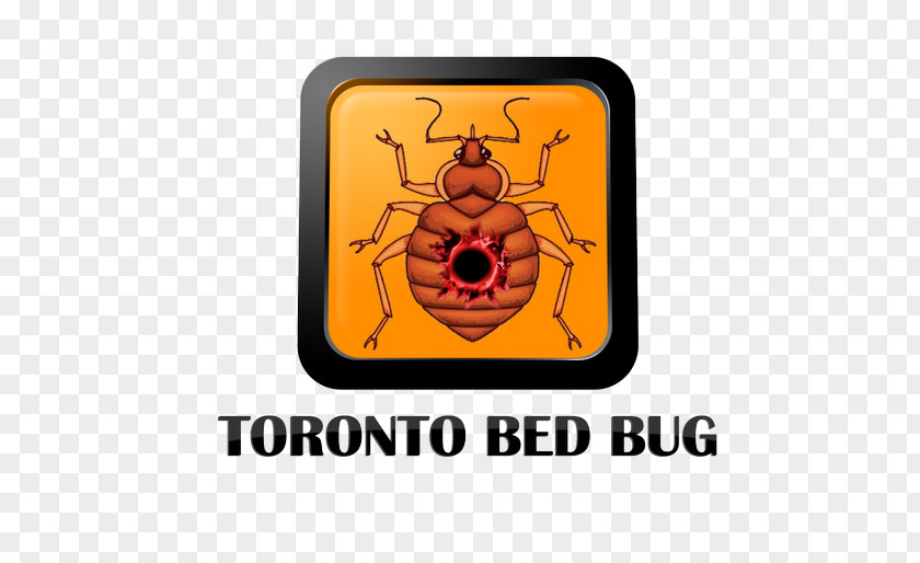 Insect Bed Bug Logo Brand Font PNG