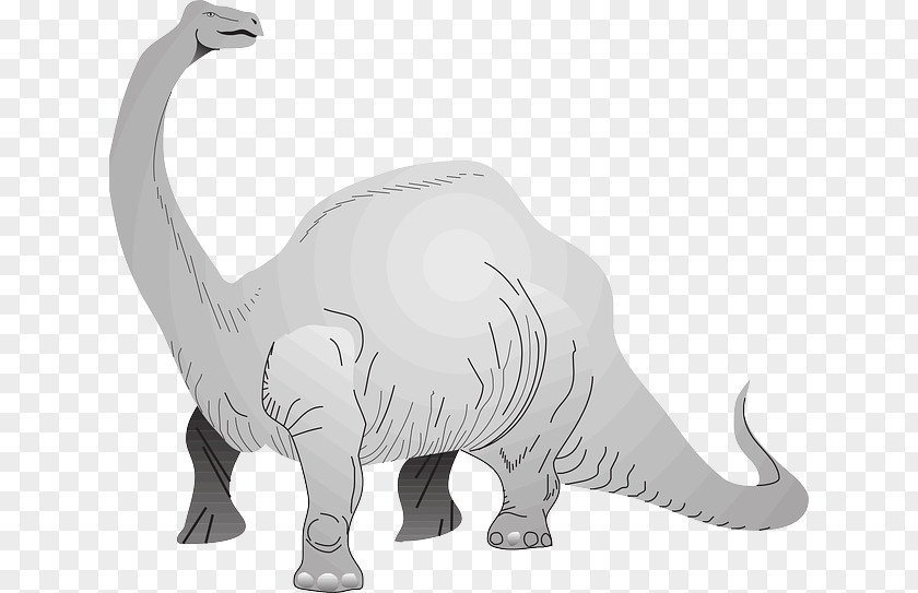 Long Neck Animals Brachiosaurus Stegosaurus Tyrannosaurus Apatosaurus Brontosaurus PNG