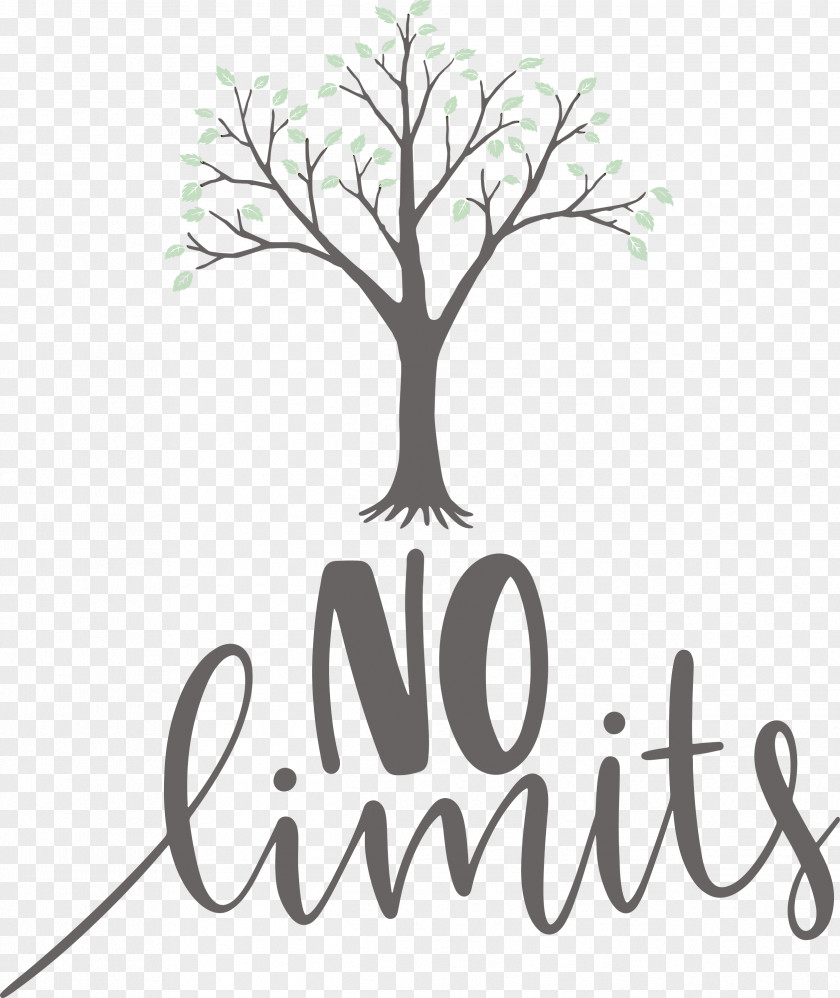 No Limits Dream Future PNG