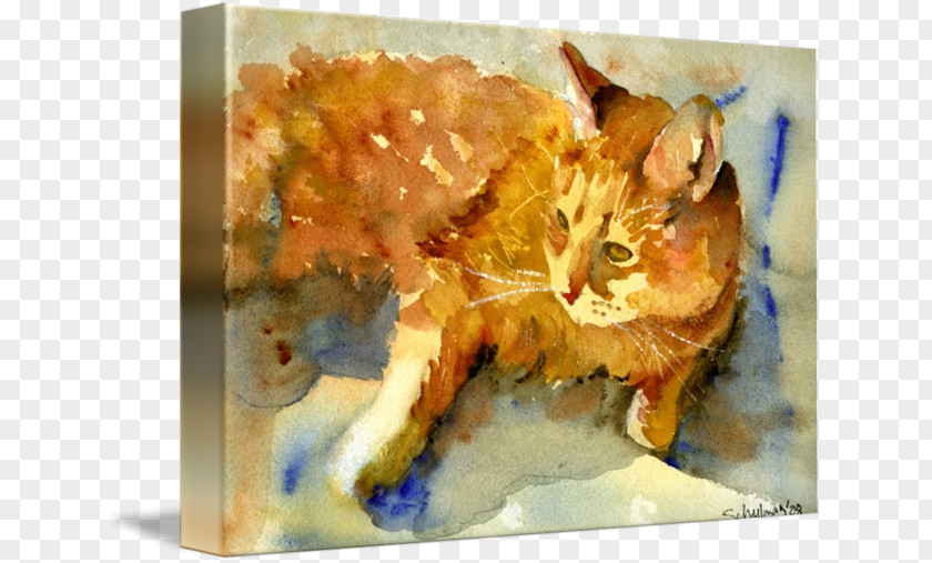 Watercolor Animals Cat Painting Portrait Canvas Print PNG