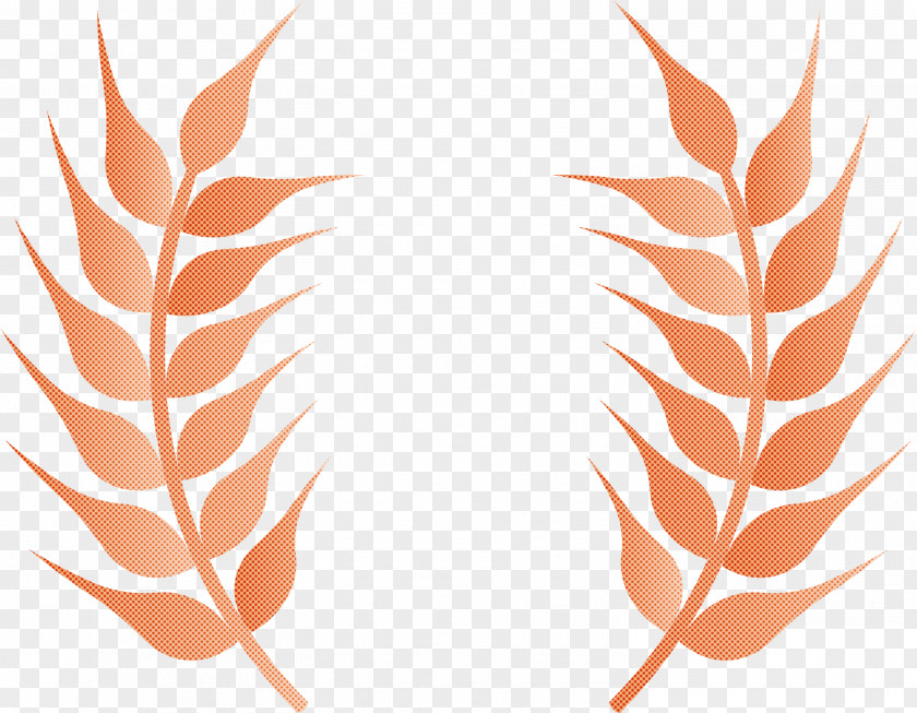 Wheat Ears PNG