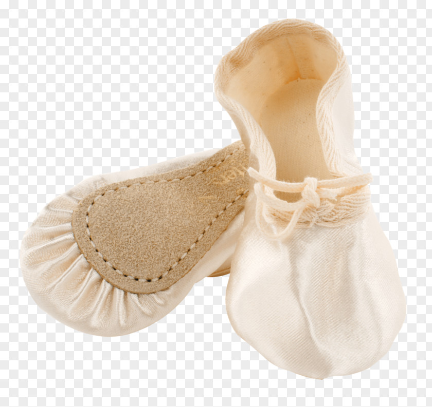 Ballet Slipper Shoe Dancer Bloch PNG