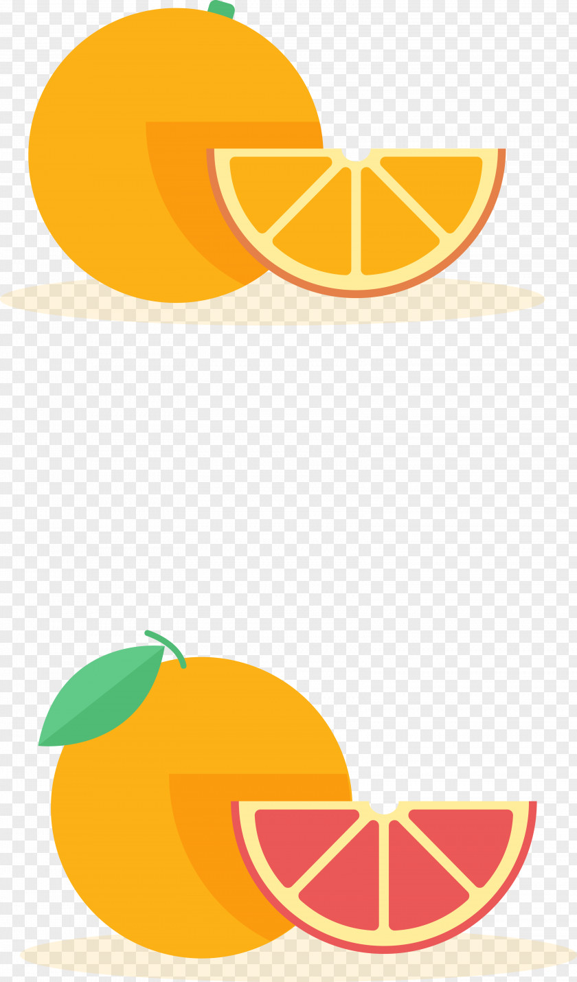 Cartoon Vector Grapefruit And Oranges Orange Pomelo Clip Art PNG