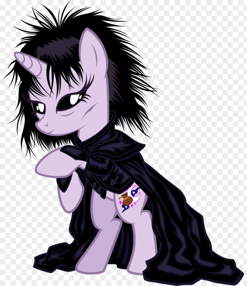 Cat Dog Pony Rarity PNG