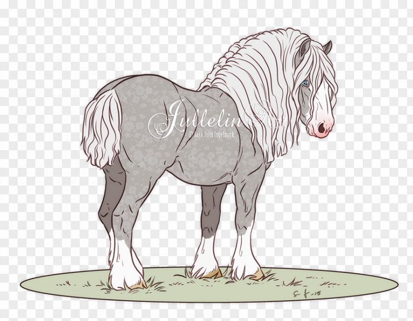 Design Draft Pony Horse Drawing Foal Pack Animal PNG