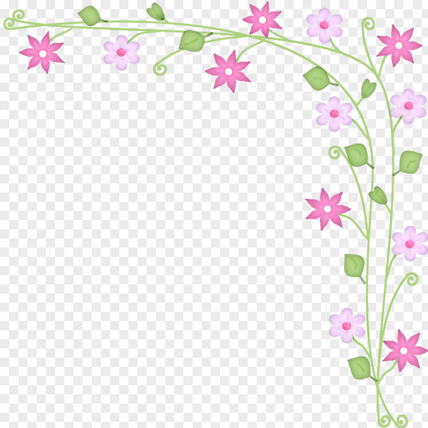Flower Pedicel Plant Wildflower PNG