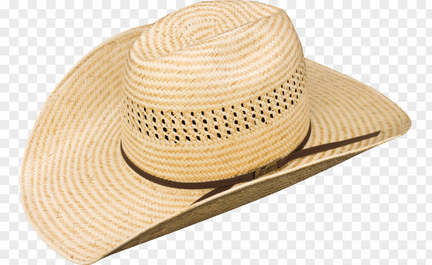 Hat Sun Straw Color PNG