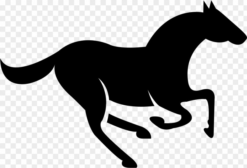 Mustang Mule Tennessee Walking Horse Morgan Clip Art PNG
