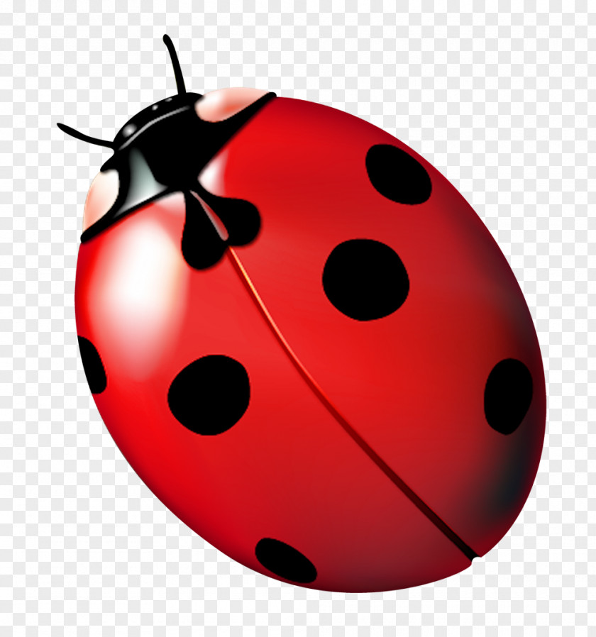 Red Ladybug Ladybird Ladybug, Fly Away Home Clip Art PNG