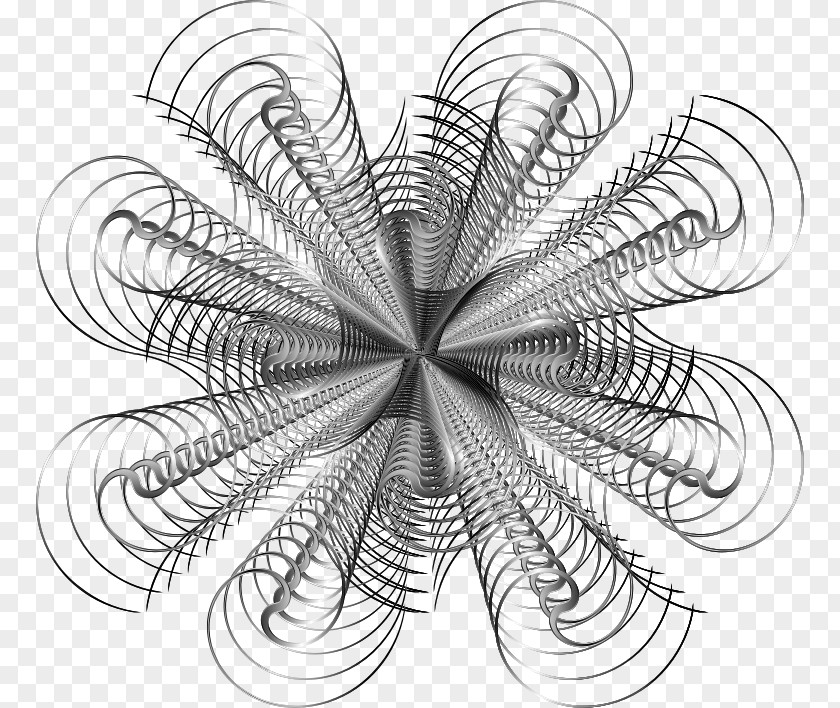 Slinky Clip Art PNG