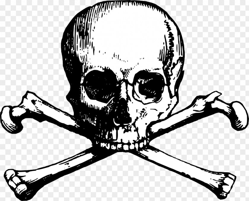 Vector Skull And Bones Crossbones Clip Art PNG