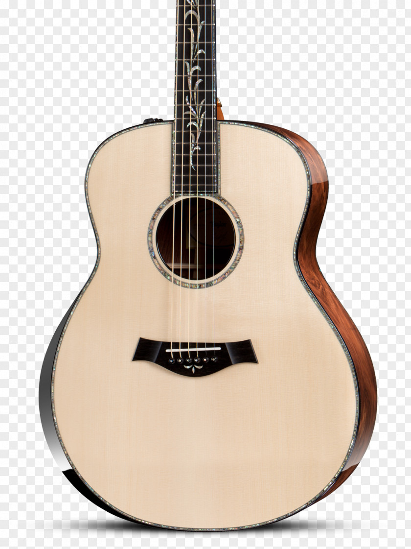 Acoustic Poster Taylor Guitars Musical Instruments Dreadnought Steel-string Guitar PNG
