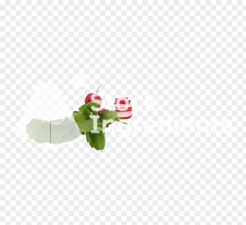 Christmas Ornament Flowering Plant PNG
